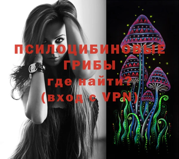 индика Армянск