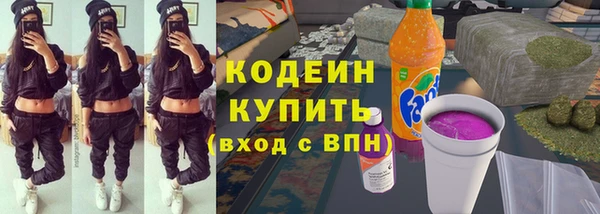 индика Армянск
