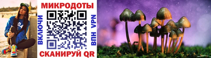 Псилоцибиновые грибы Cubensis  Туринск 